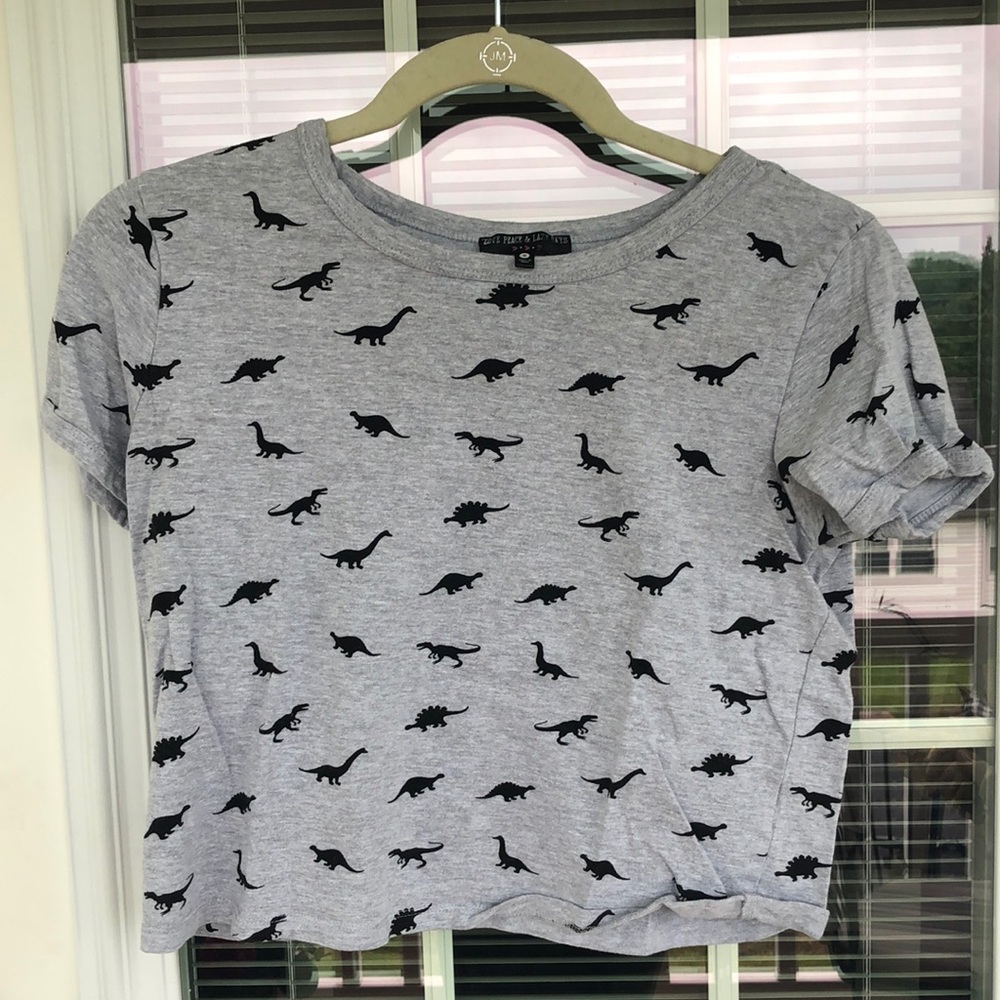 Cropped Gray Dinosaur Tee Small